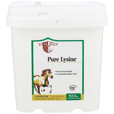 Pure Lysine Amino Acid Supplement For Horses - Equine Exchange Tack Shop