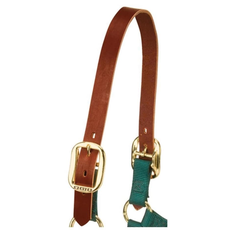Replacement Crown Leather For Halters - Equine Exchange Tack Shop