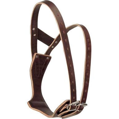 Miracle Collar For Horses - Equine Exchange Tack Shop