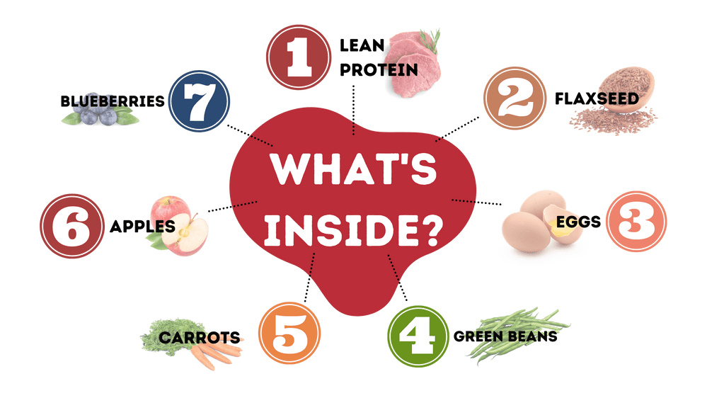 The Wild Bone Holiday Dog Biscuit - Equine Exchange Tack Shop