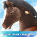 Chocolate Horse Ride-On Toy -  Age 3–4  