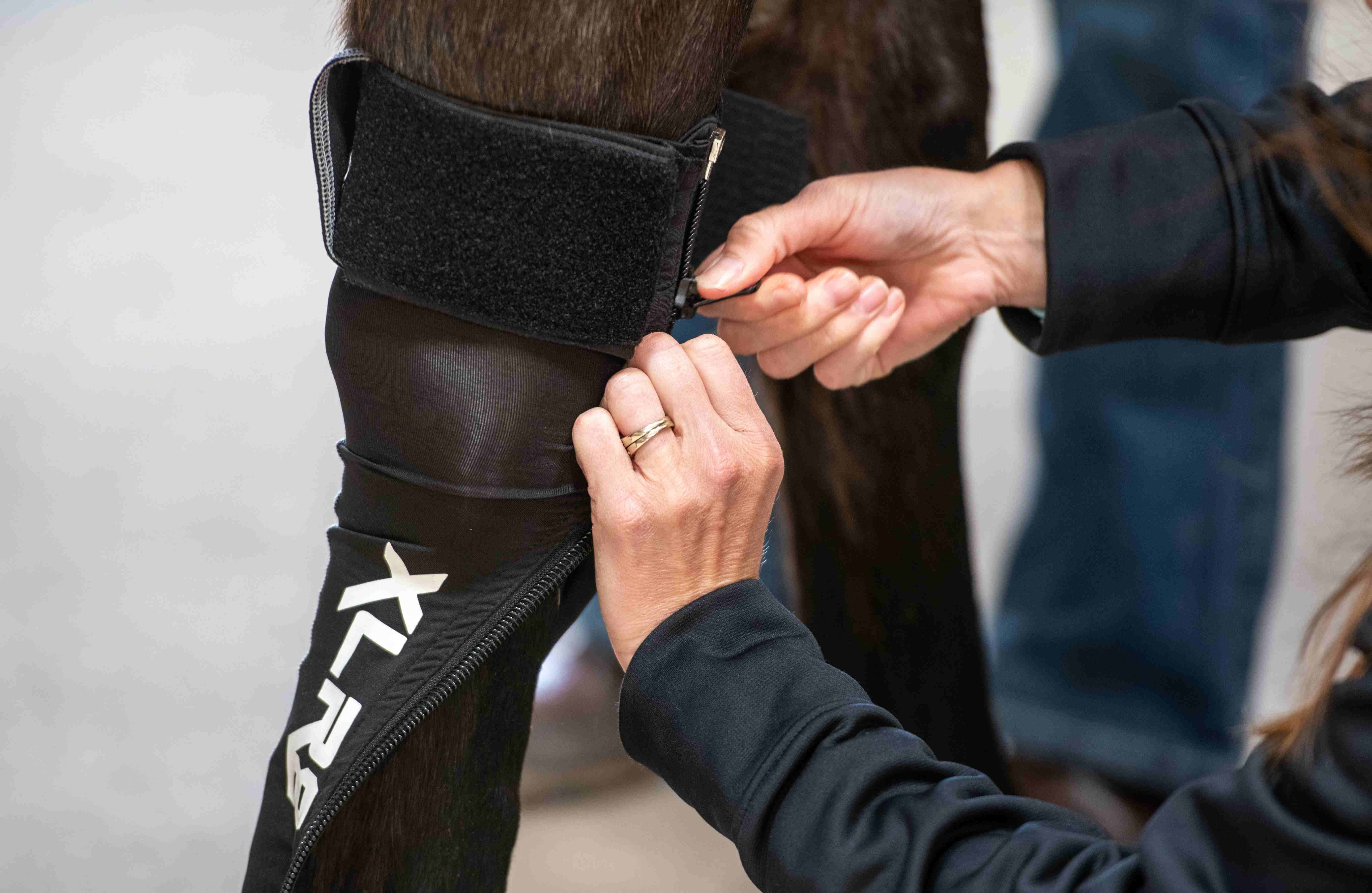G-Force - Equine Exchange Tack Shop