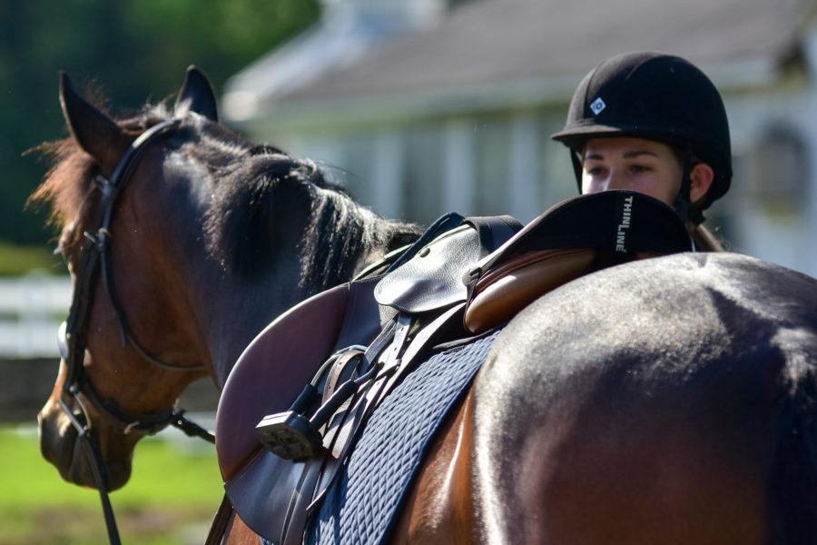 ThinLine Seat Maker for English Riders - Equine Exchange Tack Shop