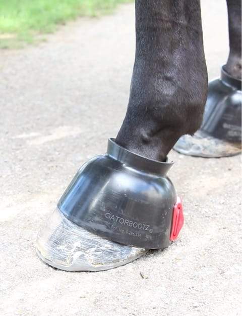 ThinLine Gatorbootz Bell Boot - Equine Exchange Tack Shop