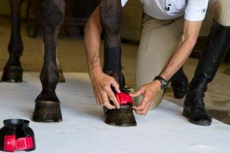 ThinLine Gatorbootz Bell Boot - Equine Exchange Tack Shop