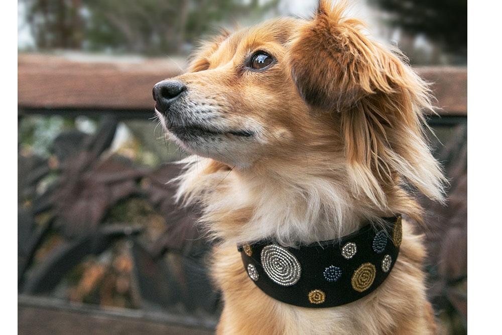 "Metallic Dots" Beaded Dog Collar