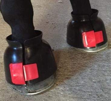 ThinLine Gatorbootz Bell Boot - Equine Exchange Tack Shop