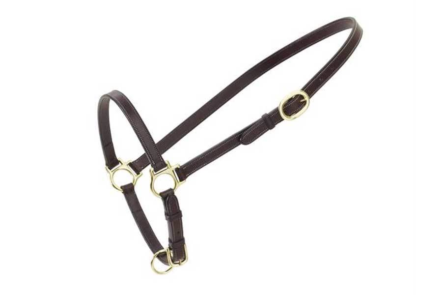 Ovation Leather Traditional Grooming Halter