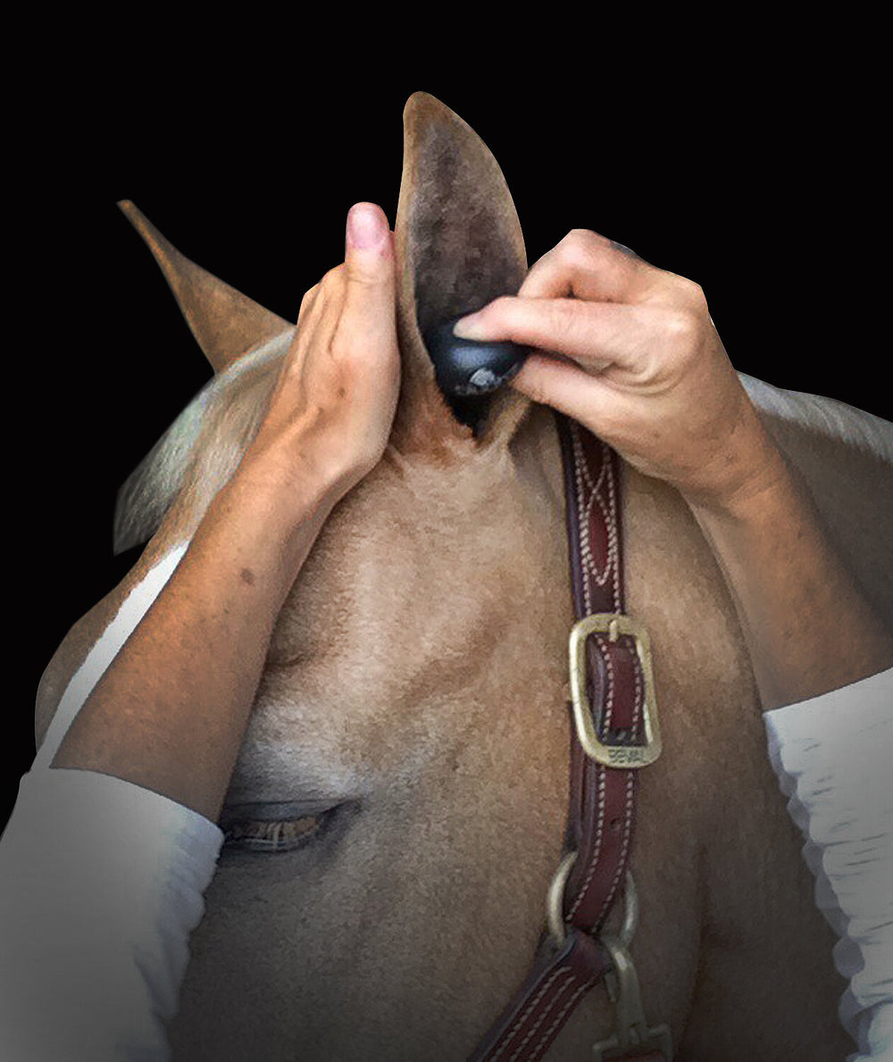 Plughz Ear Plugs - Equine Exchange Tack Shop