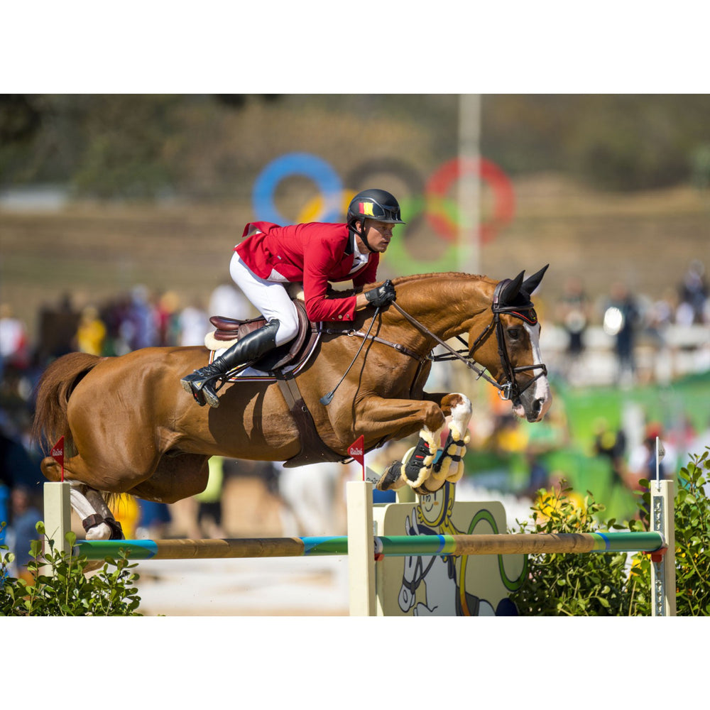 Compositi Reflex Shock Absorbing Stirrups - Equine Exchange Tack Shop