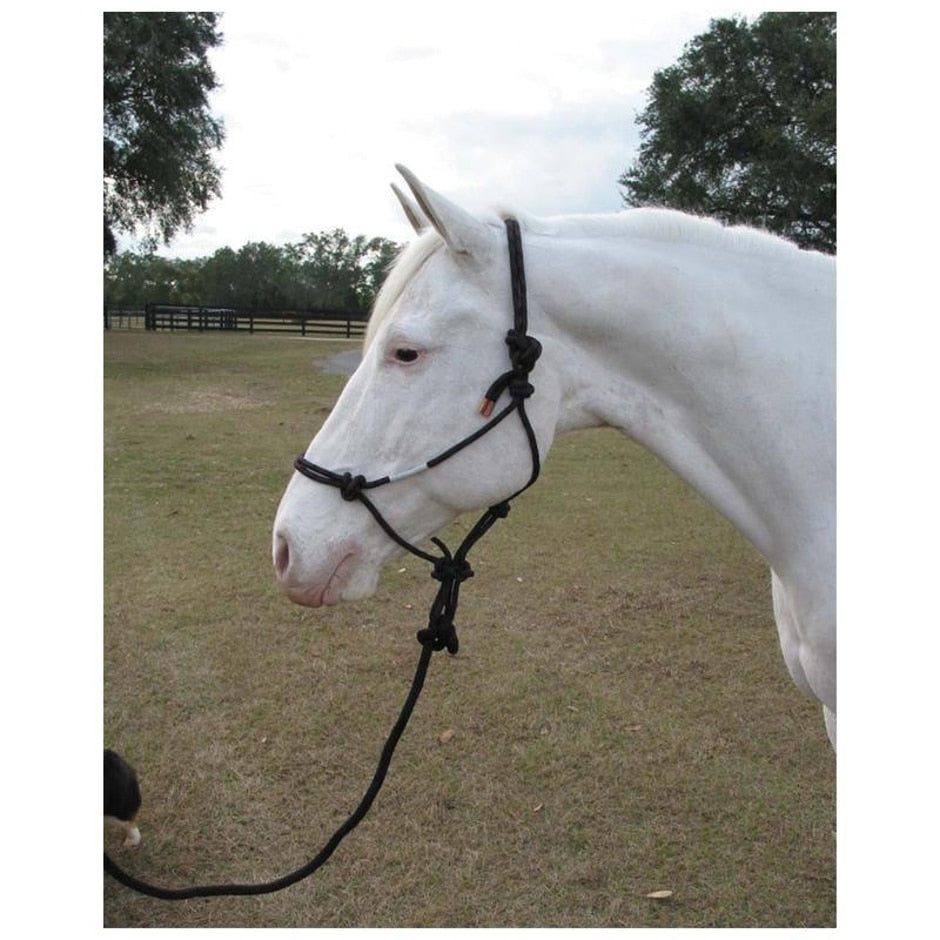 Adult Horse Rope Halter With Lead