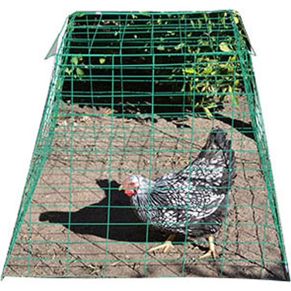 Pyramid Poultry Wire Cage