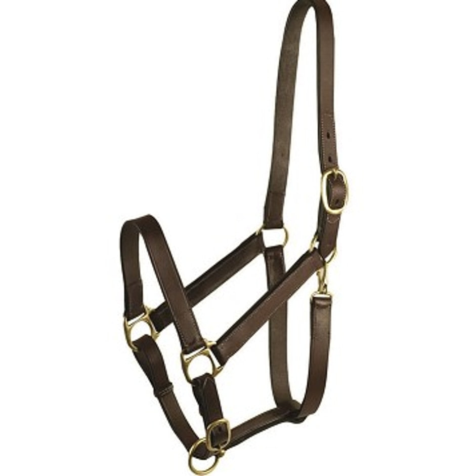 Stable Halter With Snap