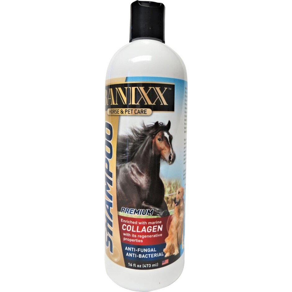 Banixx Shampoo Med w/ Collagen